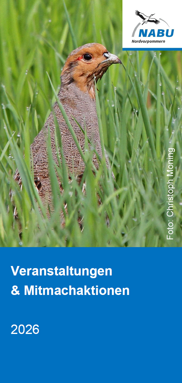 Veranstaltungsprogramm 2026 als PDF laden ...